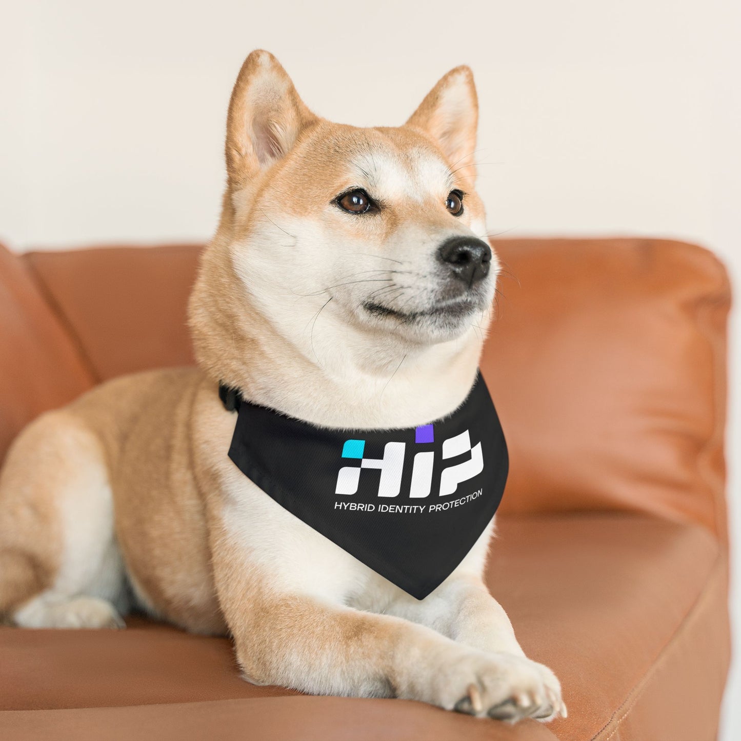 Pet Bandana Collar (HIP) - S&I