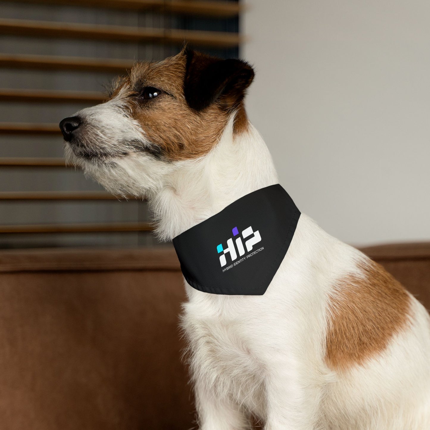 Pet Bandana Collar (HIP) - S&I