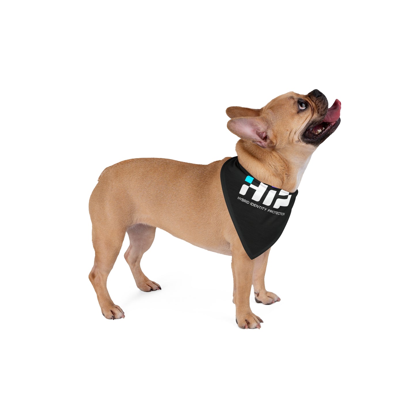 Pet Bandana - HIP