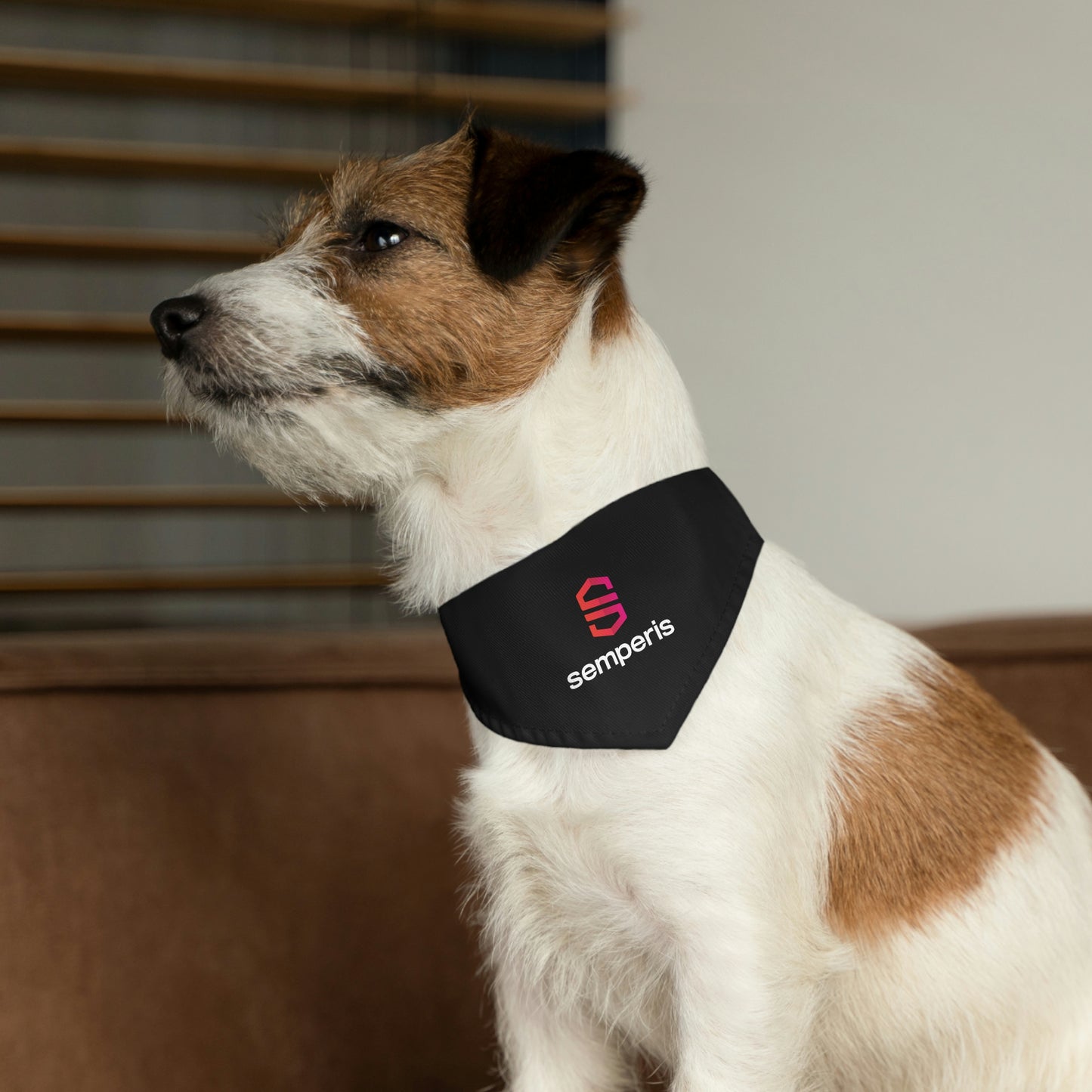 Pet Bandana Collar - Global