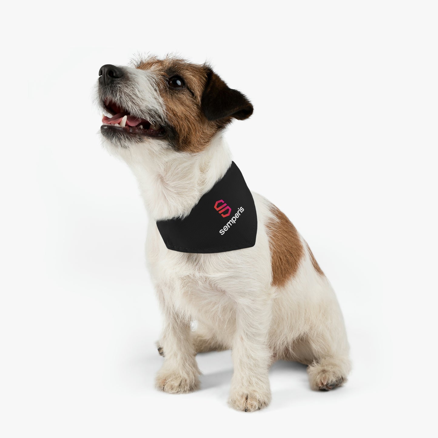 Pet Bandana Collar - Global